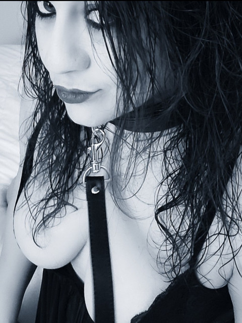 Secret Sub profile picture