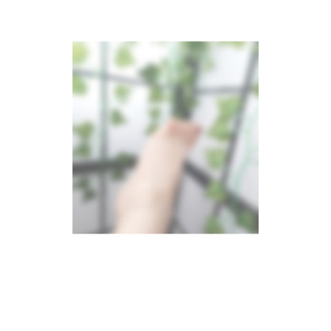 FeetMeToIt profile picture
