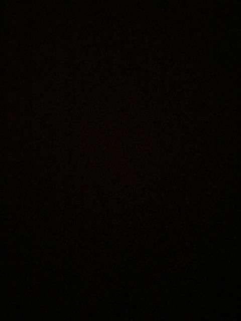 Danielle profile picture