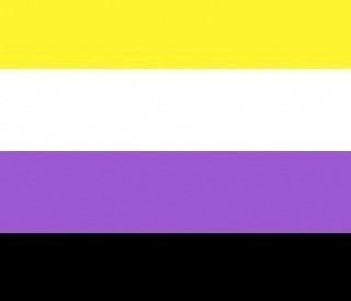 EnbySwitch93 profile picture