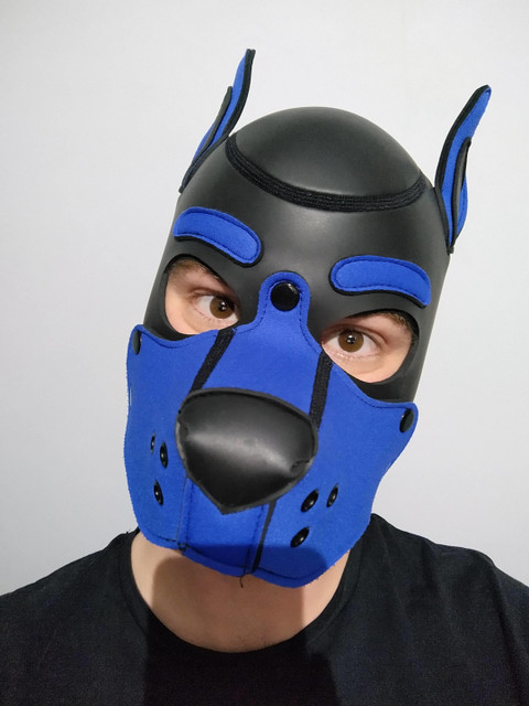 Pup Rupert profile picture