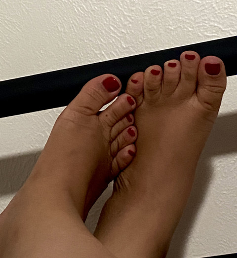 Amy’s Toes profile picture