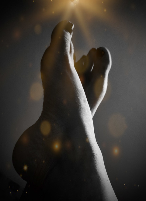 Tinytoes profile picture