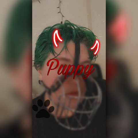 PuppyBoi profile picture