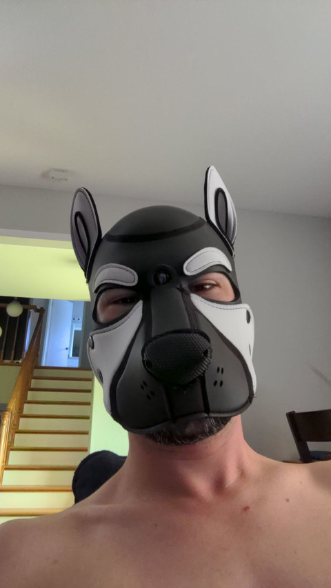 Pup Ket profile picture