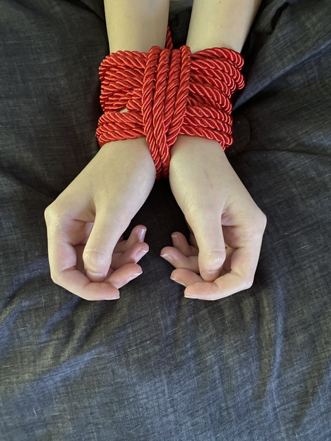Blitz_Bondage profile picture