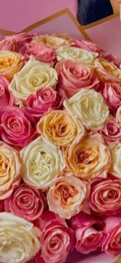 fine_china24