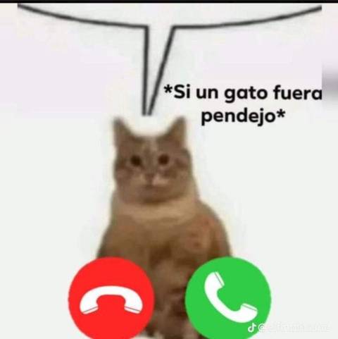 bbjc09