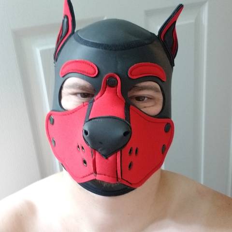 gideongeekypup