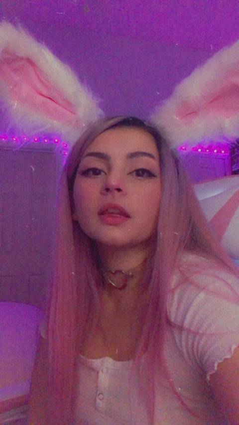 @deeebunbun