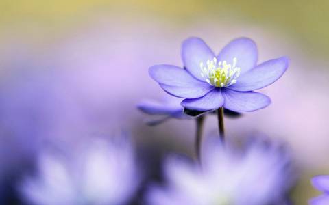 lovelyinlingerie nude