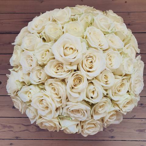 QueenBee - u182775878 OnlyFans