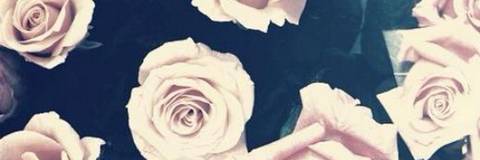 bethany - bethanyjones292 OnlyFans