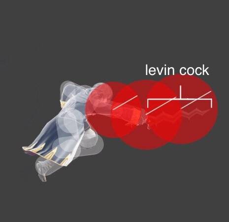 levin_cock nude