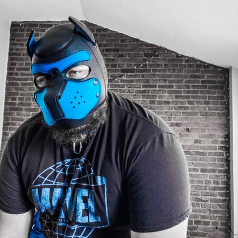 @pup.eros