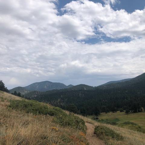 Alivia - aliviasugar OnlyFans