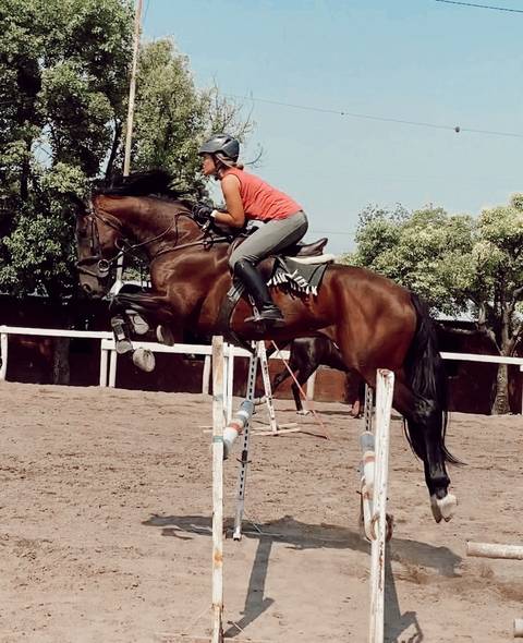 josefinitao