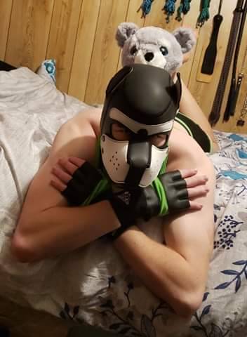 pup-boy