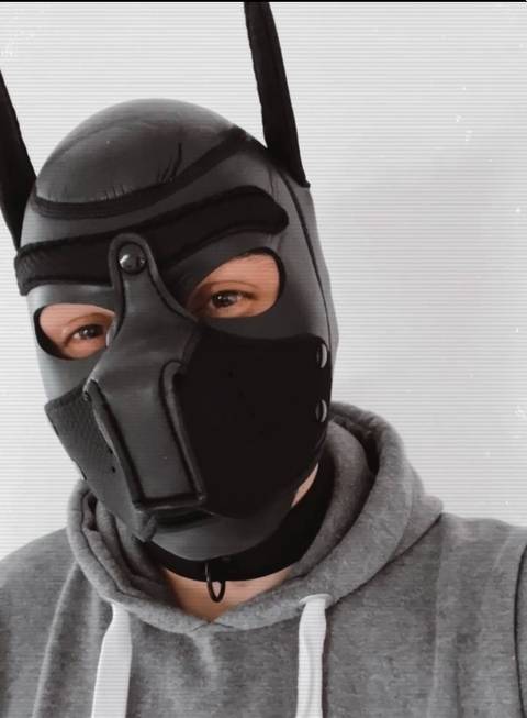 @pup.milo