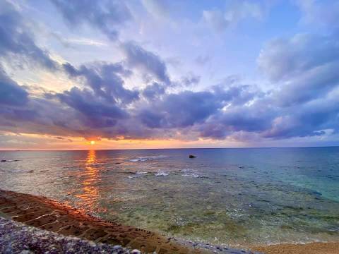 Hali D - hali-daze OnlyFans