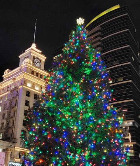 summer.comedyclub nude