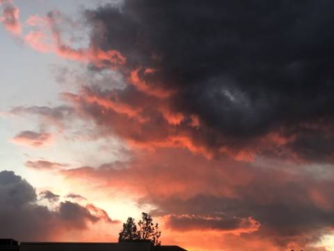 two-much-passion nude