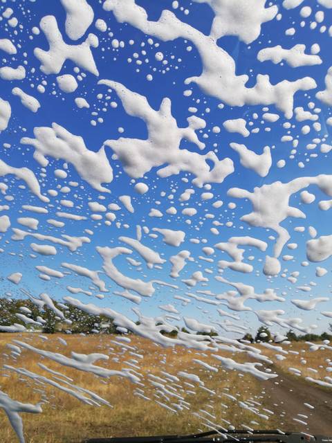 Curly baddies - comewithusbabe OnlyFans