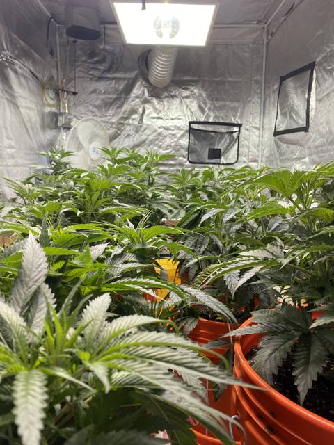 cameronstronghands nude