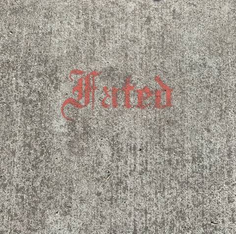 homeiswherethehoesare nude