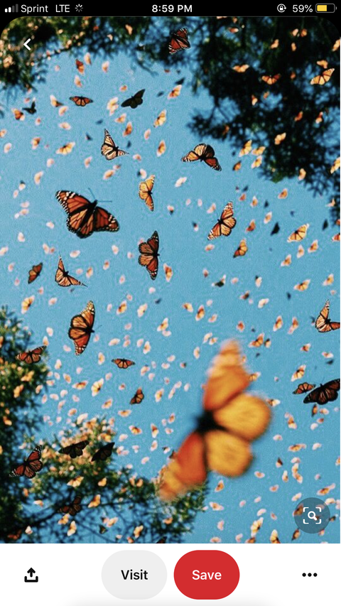 blasiancookie23 nude