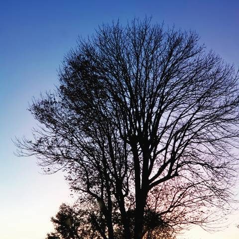 prettytoedkitty nude