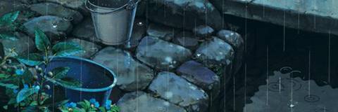 eggandcheeseonaroll nude