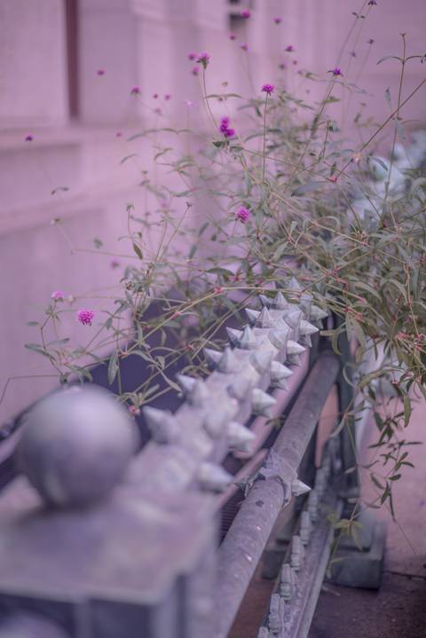 solar_powered_flower nude