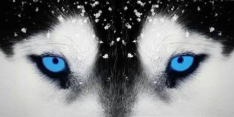 Tommie Martin Jr - djstormxz OnlyFans