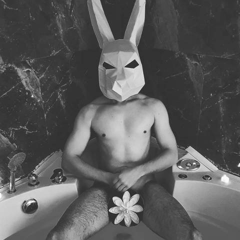 misterrabbit92