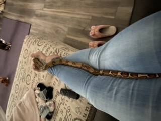 Kimchi - bulgogibaby OnlyFans