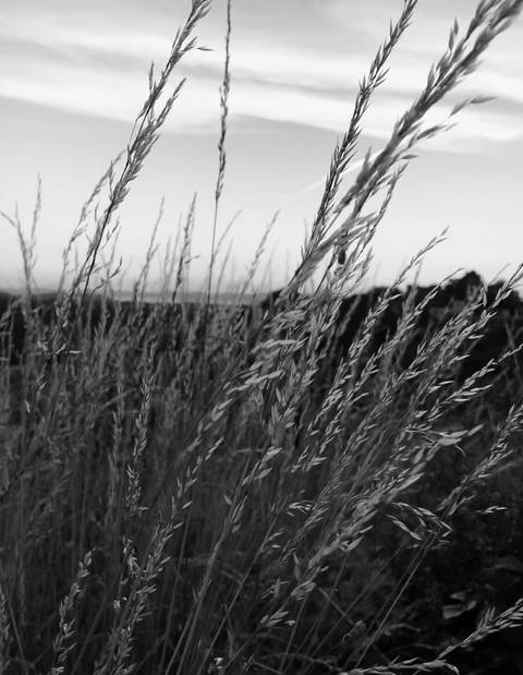 shessensuallysophia nude