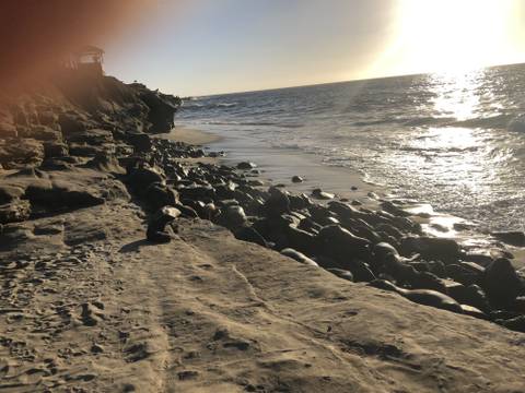 platypusdecktualhealing nude