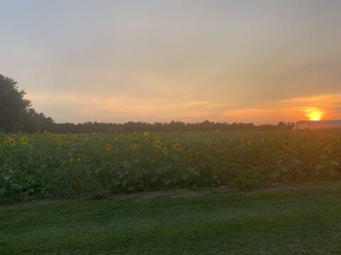 brownskin__girl nude