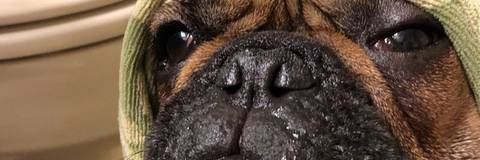 therealwednesdayaddams nude