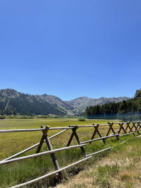 Gavin Anderson - gavi_xxx OnlyFans