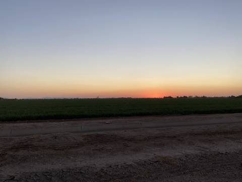 Annalise - vngelsunflwr OnlyFans