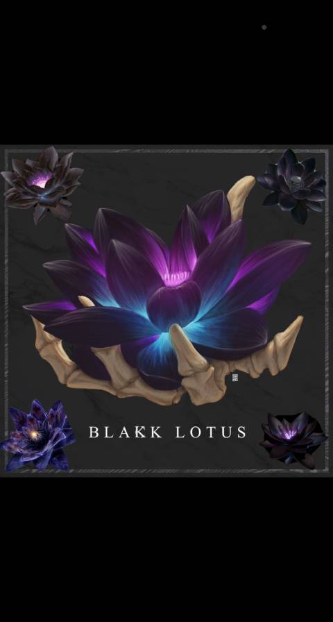 lovelust_lotus