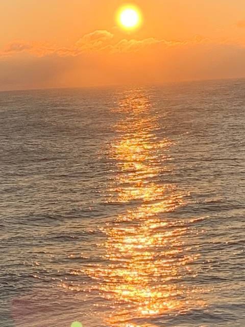 cookie_monster7 nude