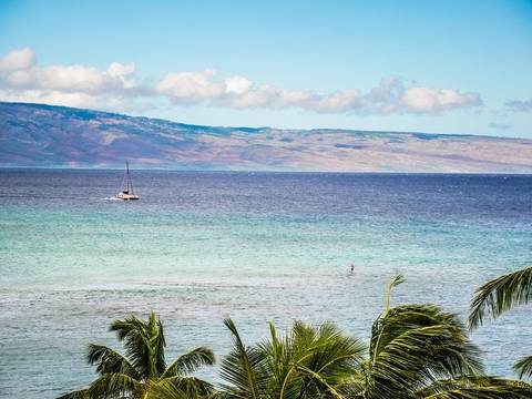 Dank&Body - dankandbody OnlyFans