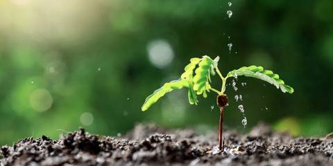 bronzedhoney_xo nude