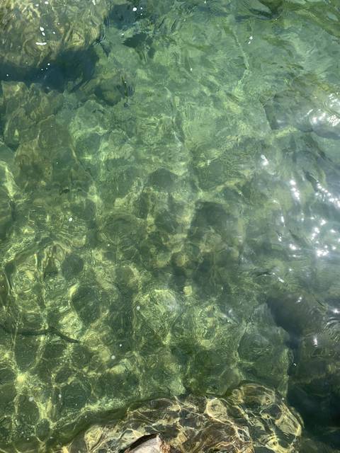 MX Cookies - mxcookies OnlyFans