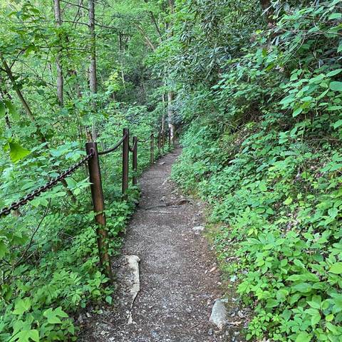 Ambrose - ambrose420 OnlyFans