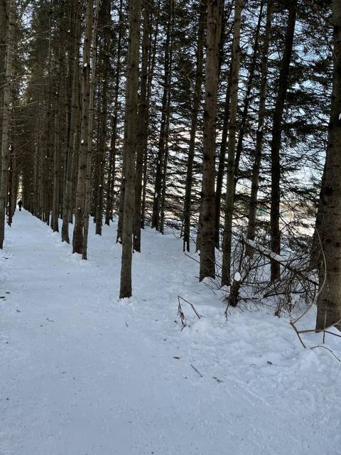 aliciabouchardboisvert nude