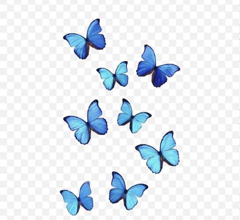 Jade - lavenderjade1 OnlyFans